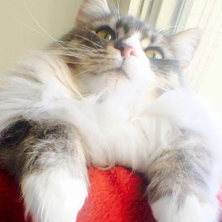 224bd288 98e4 4599 b585 8517695b8715