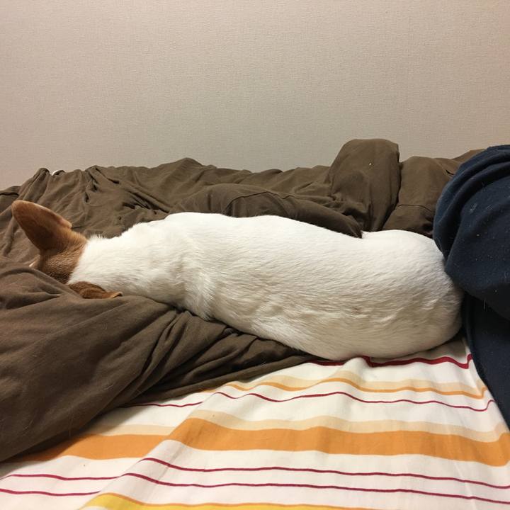 224c0a0e a995 4fbf 816c 897c09feca96