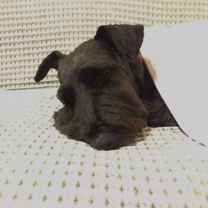 224c380c a552 4e3f 8de5 d9eef29fdc0e