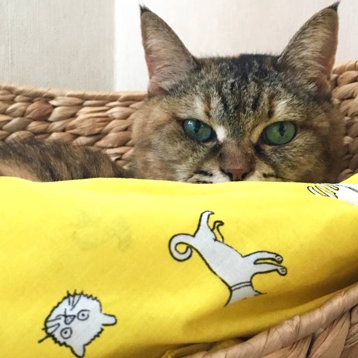 224c47a4 eb65 4c06 8f72 6e8ea1be7e15