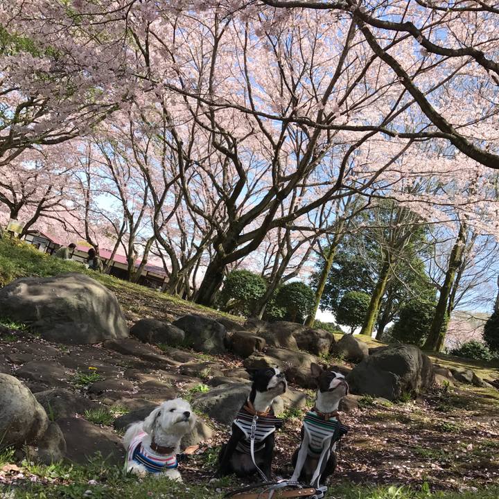 224c6baf c6d1 4927 9d5f fc978a254472