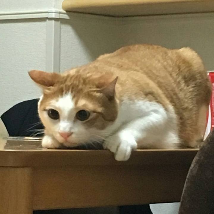 224c77ad c81f 4e11 a427 f142d7b16874