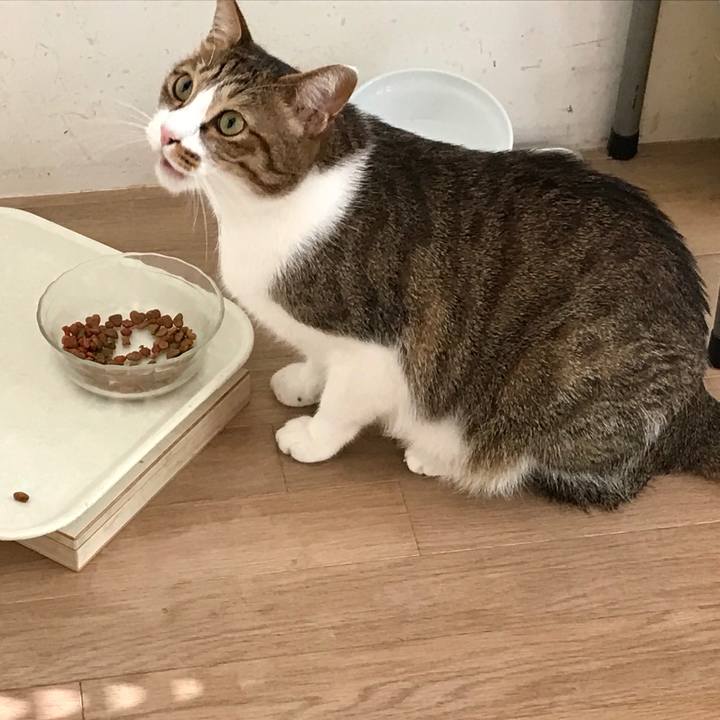 224cc223 f230 40d6 98b5 d8faf8eabbb8