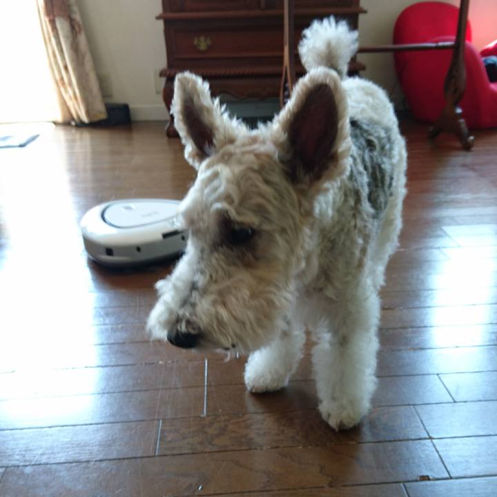 224d26ef a8d0 4c11 9724 38044cf3714e