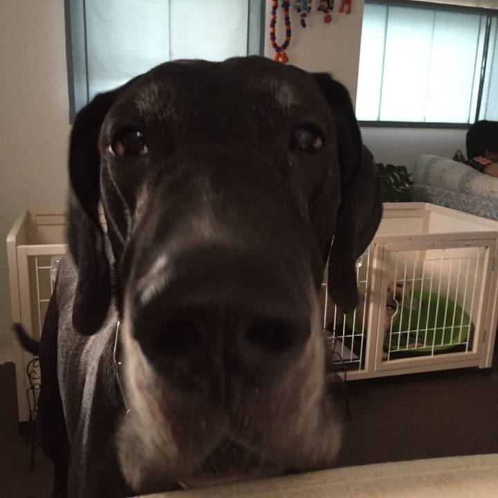 224d6b92 4f10 421d a99c 46aaa23ce1d1