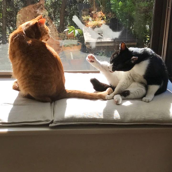 224d8ff5 56e6 448d 9f22 3c2385319e77