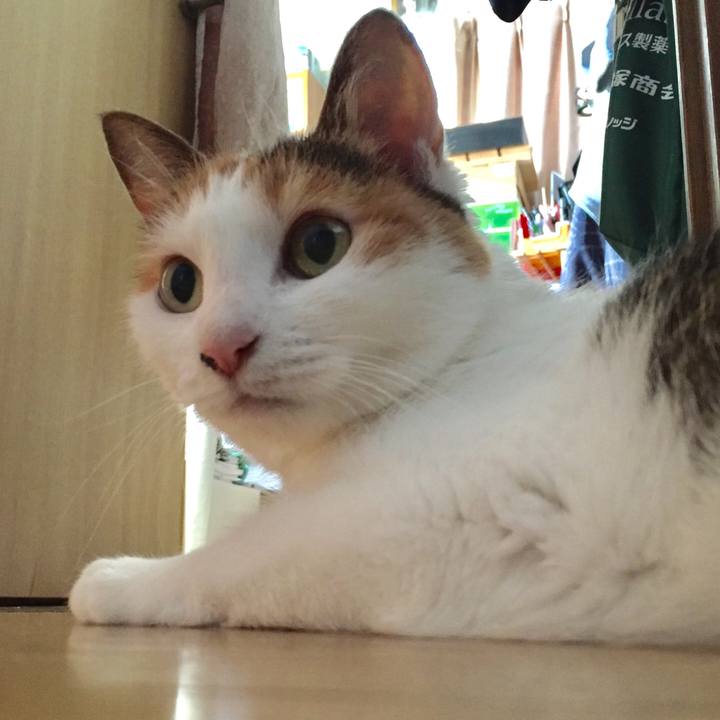 224d983c 54e0 4448 b12a 65e20418cbbd