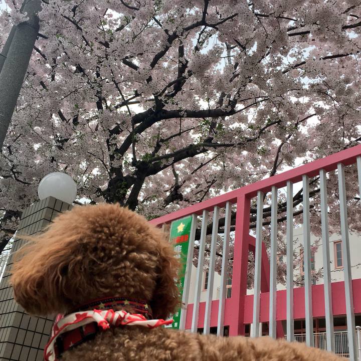 224dc7e5 14f4 4edc 956e df900806a8a9