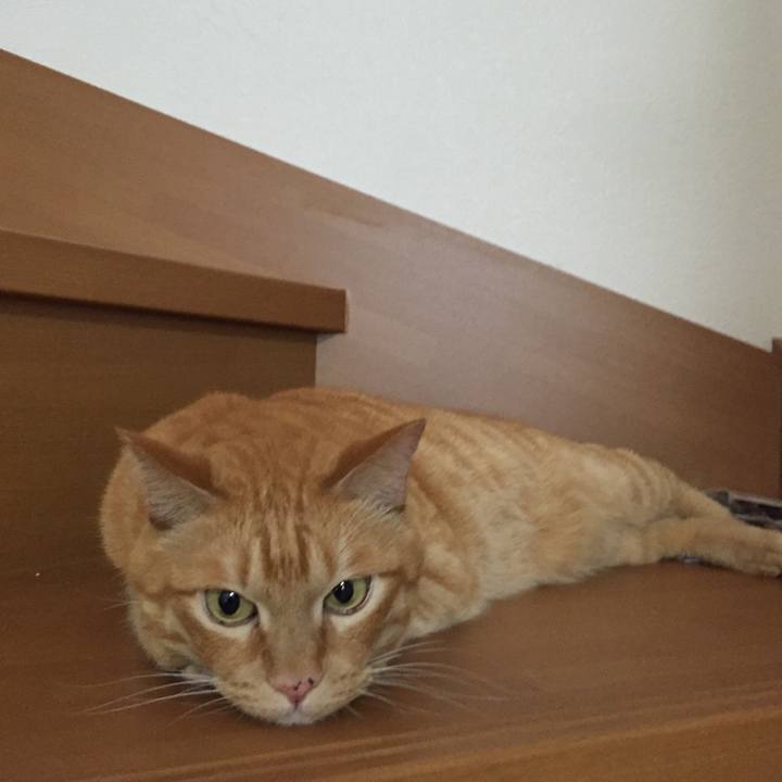 224e40ad a11f 4cef a297 6845fdb05d6d