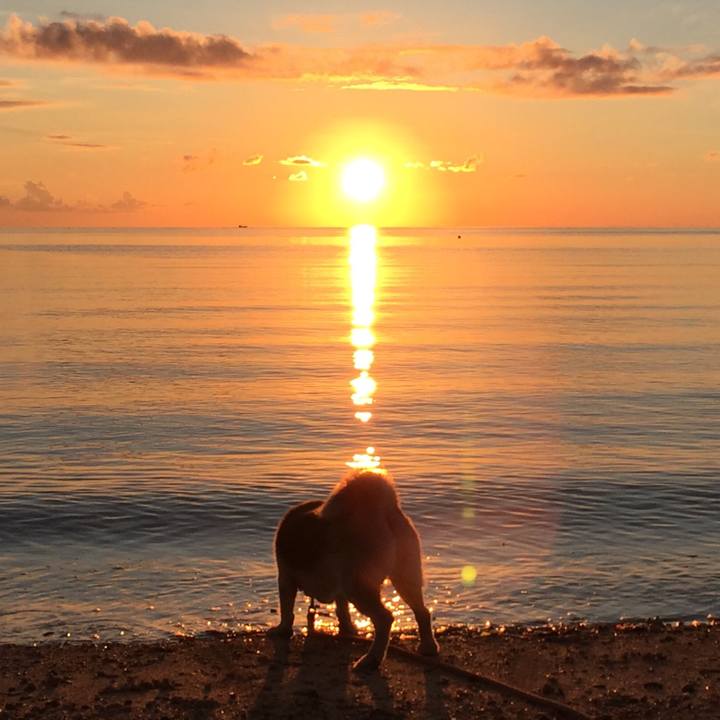 224e4f76 86a0 4e28 8456 4b07977b8a39