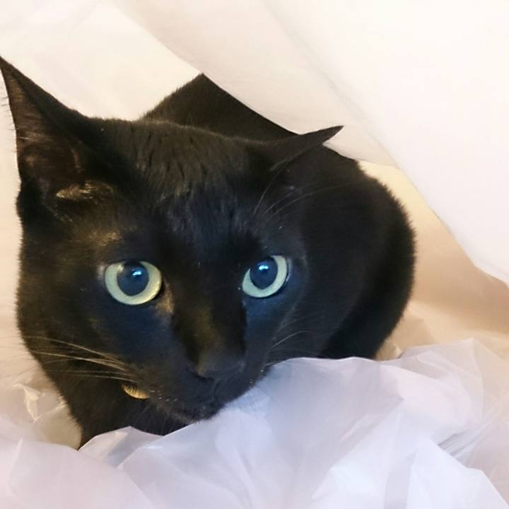 224edd3e 7ca8 4131 b7ba 26dcb7a2ac98