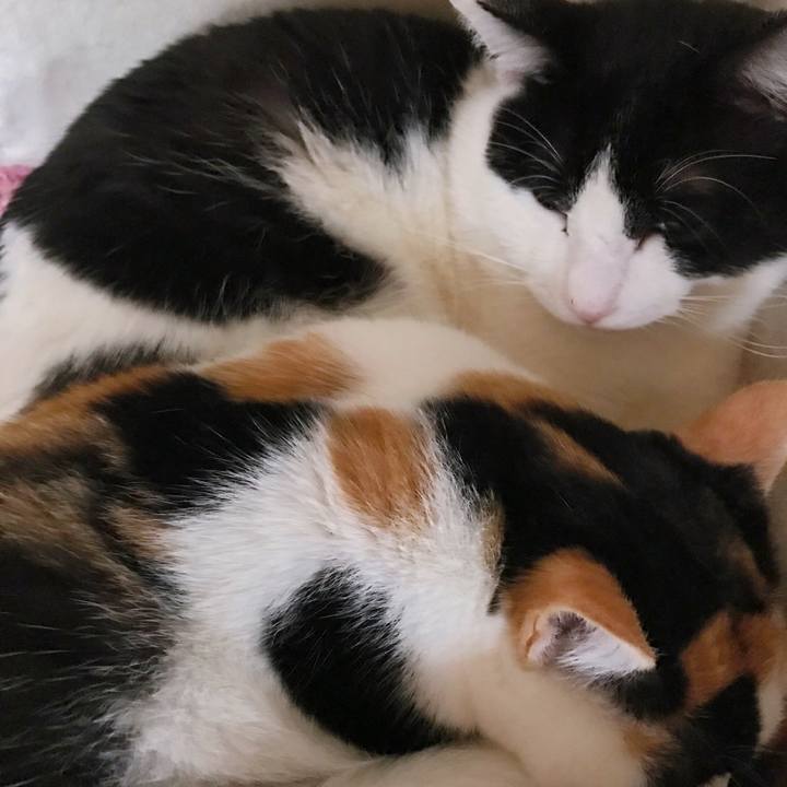 224ef1e0 0cc5 4c39 be91 6537403e91ae