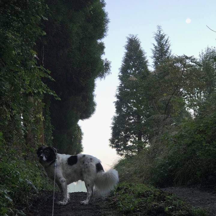 224efd73 9487 47e1 86f2 ca9b7d59bb54