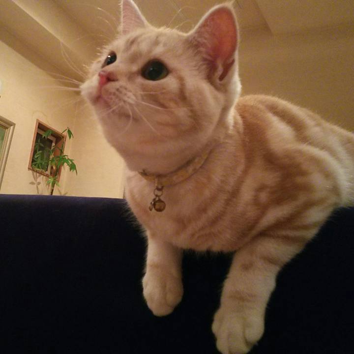 224f6ec3 95d2 4cee 84d5 19ac7655b30d