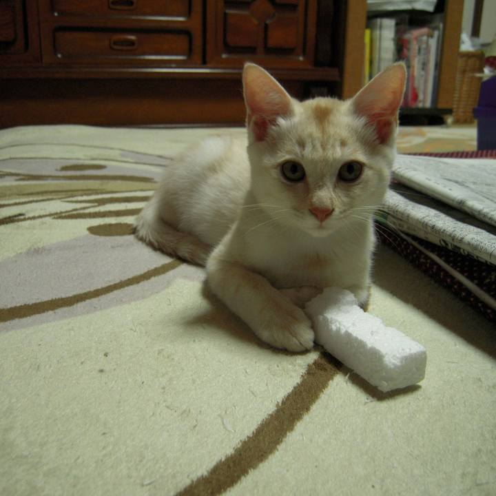 224f8828 4176 40ef 8b3a 2b4ae6e5c48c