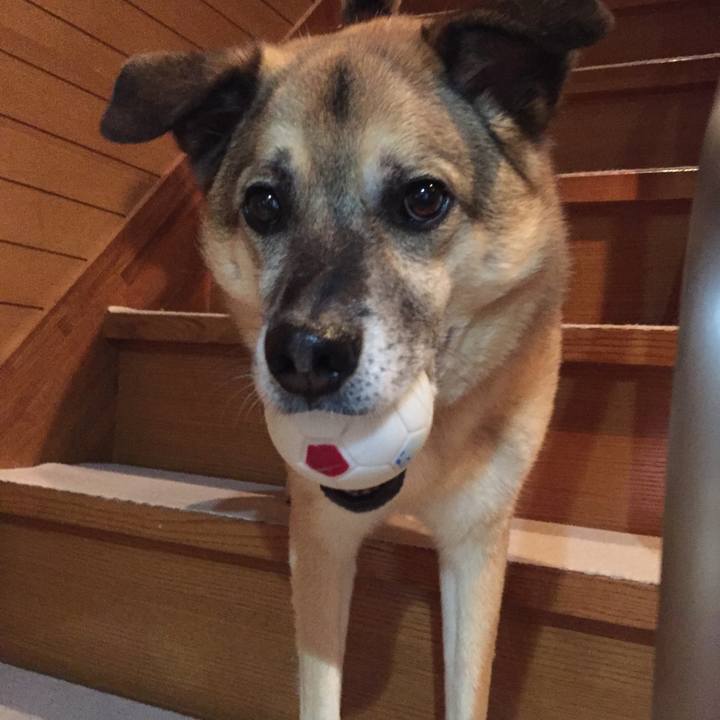 22500f97 164a 41ba 9edd 828beec51355