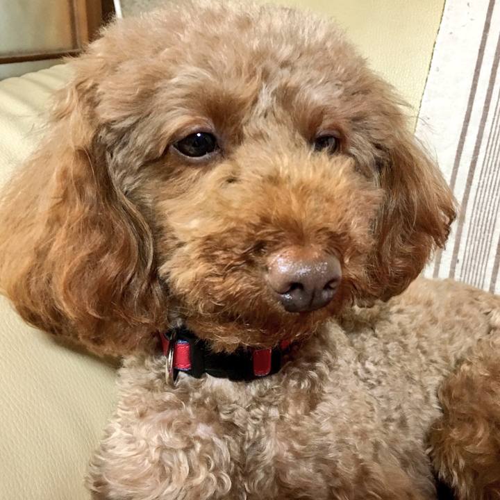 22509d6f ac7b 446b a8da c8ed238471ff