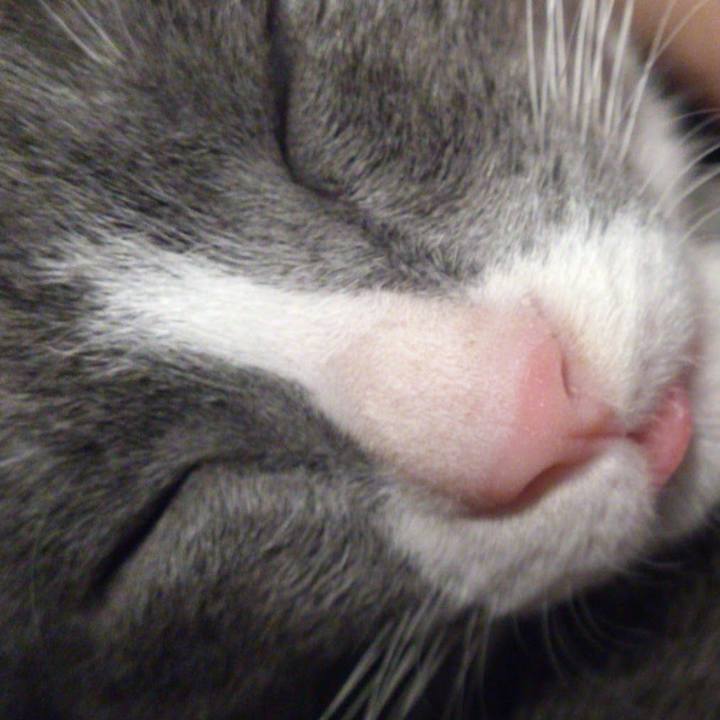 2250b4d4 7190 4c71 a78d 709f0a6d1163