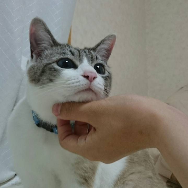 2250c70c 2c08 4b8e a9e0 4ca71c71d227