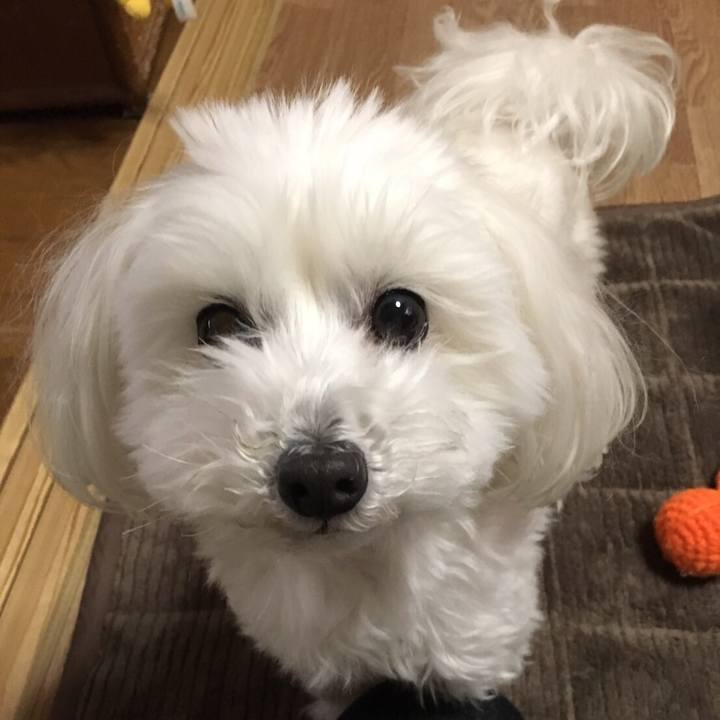 2250fa73 5b33 4237 a412 41ce2263f093