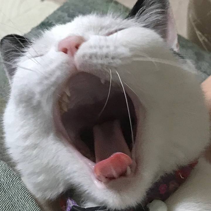 2252190d 862b 454d b59d 8d90dc5ac4e4