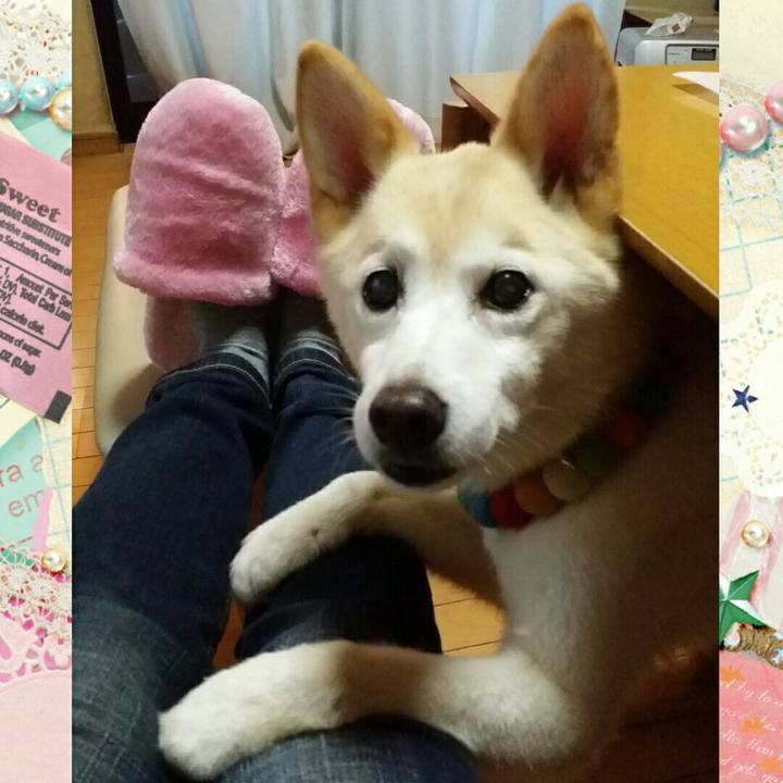 22521f8d fa80 402b 910a 875b64879e1e