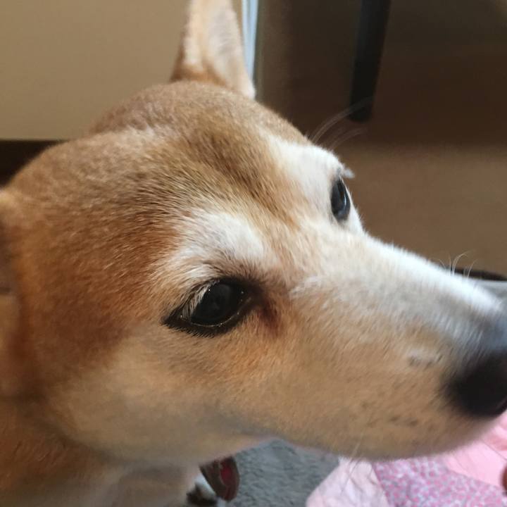 225223b6 b929 43dc 9d44 2a069c5c6ce2