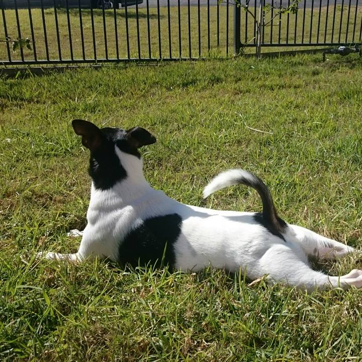 2252365d 12cc 4694 b886 dc304013b145