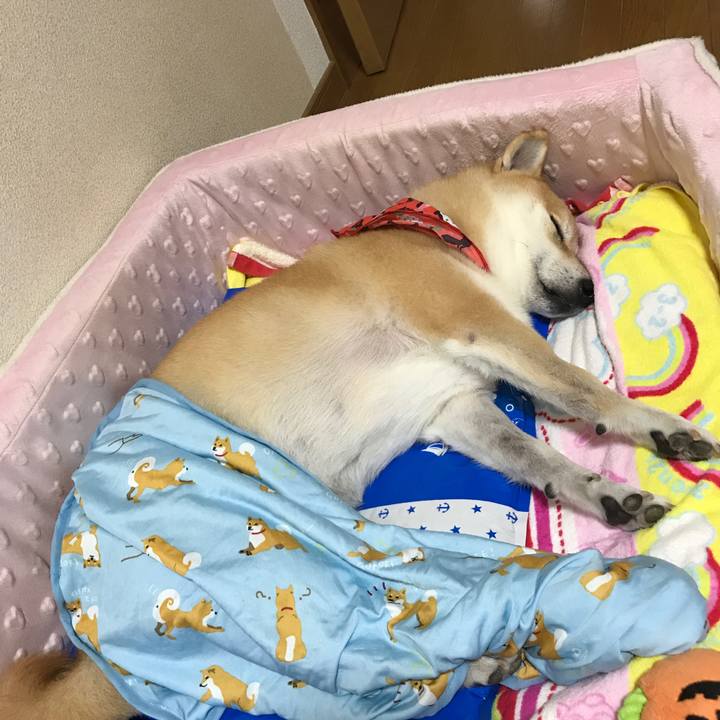 225288d1 5446 447d 9304 51851c9fcb02