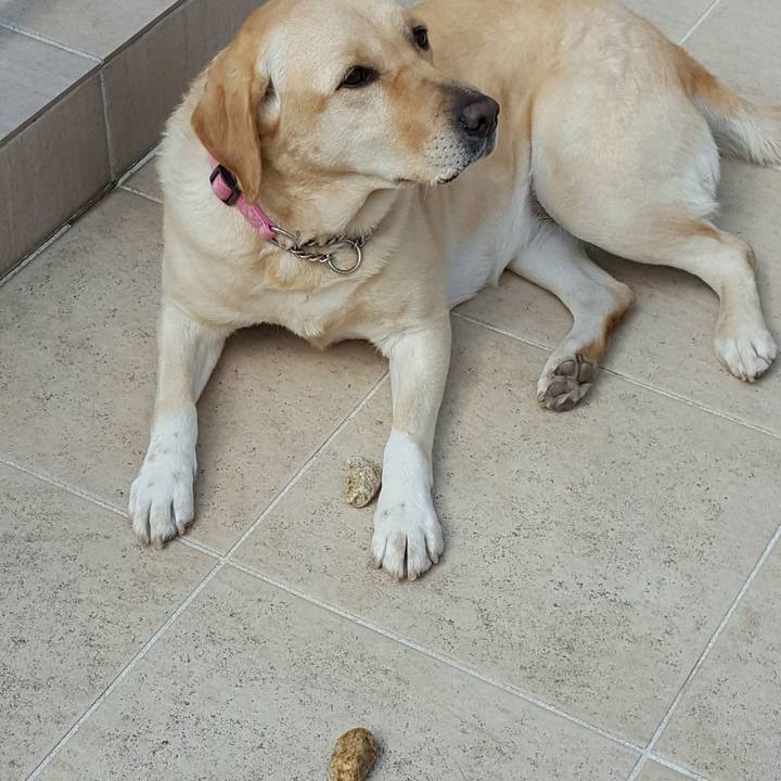 2253b19d 1414 4282 bfd3 b816084128c7