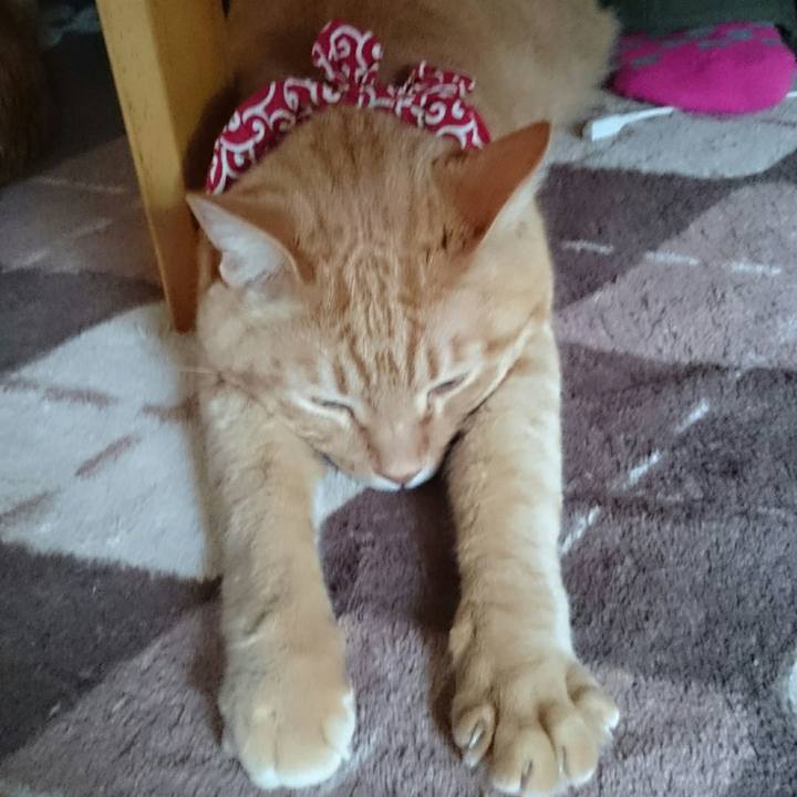 22540b7f e3df 4bda a011 f6b0ba5d29af