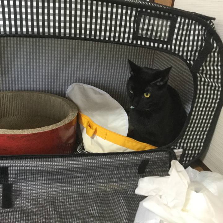 22540ff3 b6d5 4b06 8867 f1196bd0bf84