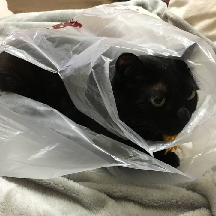 2254ae0d 097e 4f44 b186 c3ccce64505d