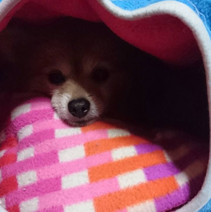 22550d83 aaf5 42d3 a0e6 372b7ffdb99a