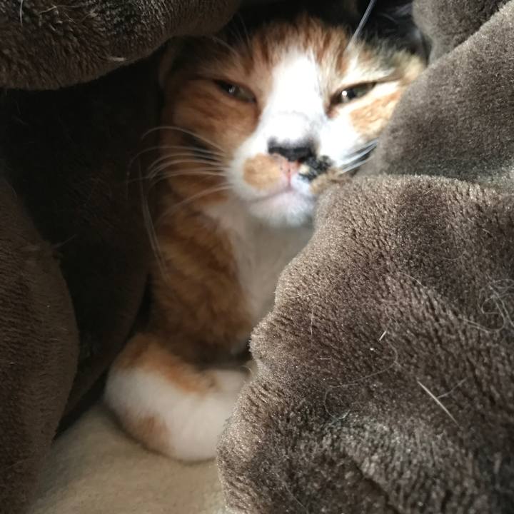 22552606 f62c 49d6 b130 7881106d5346