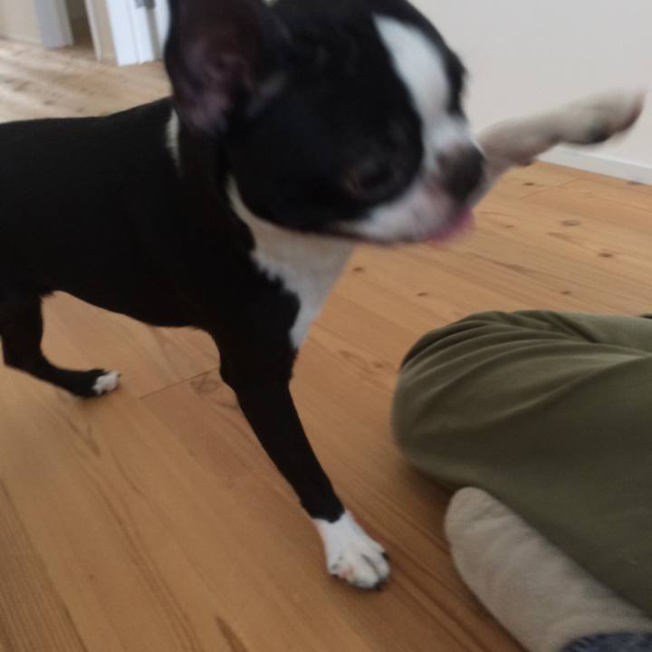 2255a361 0894 4537 8c67 4a921395ee59