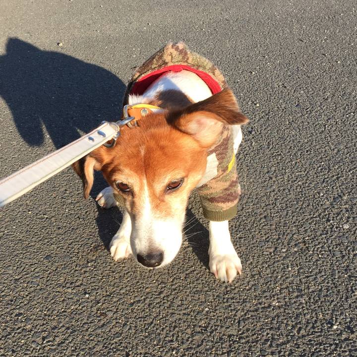 2255f3ef 54e9 4df6 90f0 6784b6aabc78