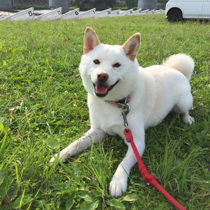 22560162 bb63 4e43 b72c eb005fd0b32a