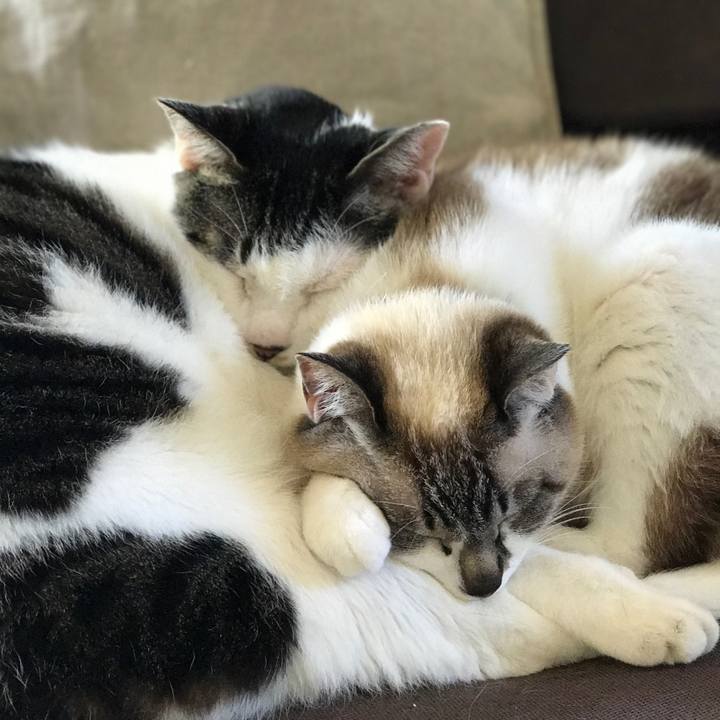 22564c4b 873e 44f4 b5f1 d30abf3611c2