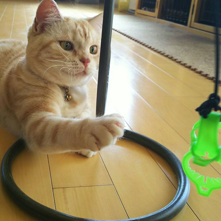 22569d09 0d7d 45af 93a7 6b572449c64a