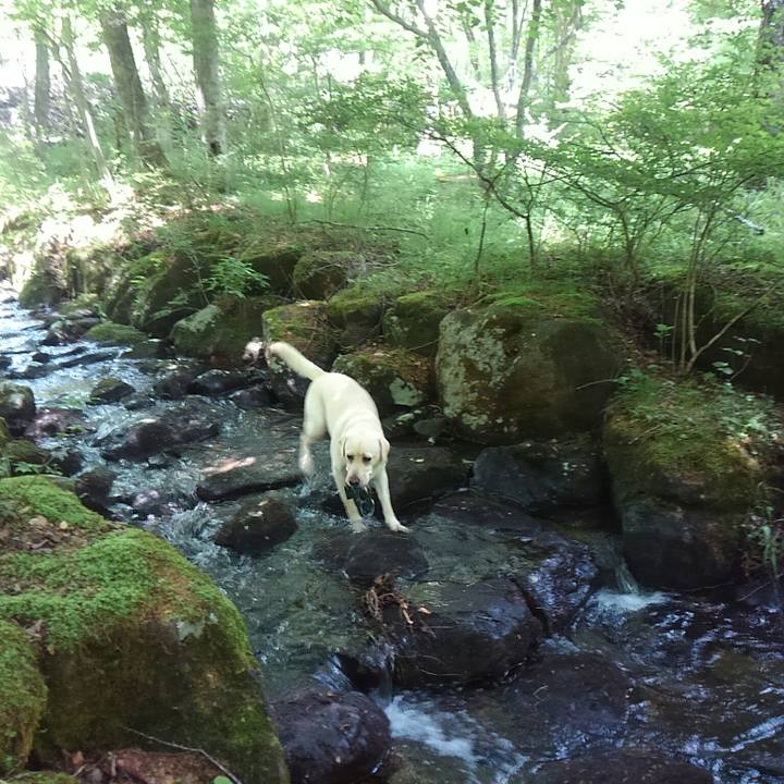 2256b72b c4fe 4d89 b168 b698a4e3bae3