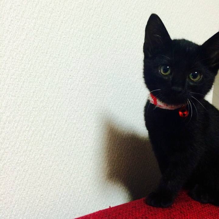 2256c71c 0b5b 43ae a09d 333f31e35431