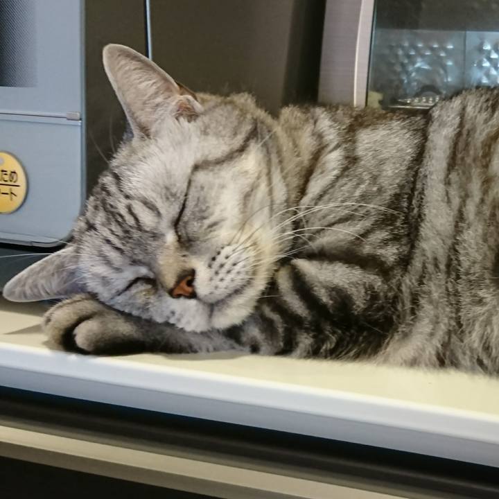 2256c8e5 8c71 4294 b158 6bdb9479993c