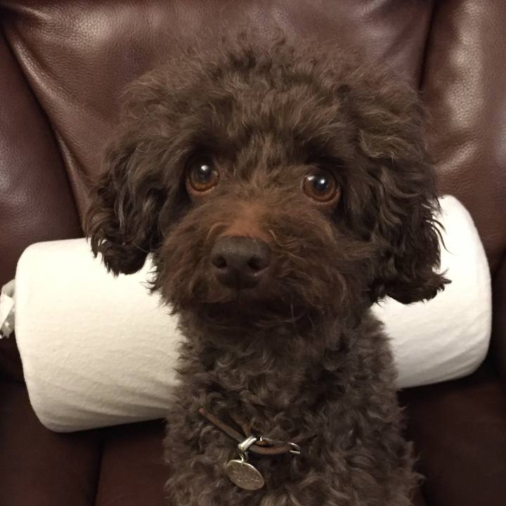 22572548 232c 4934 8310 e7eb261a3b4a