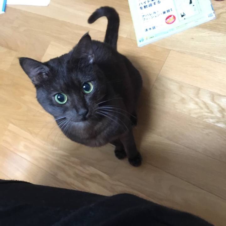 2257cb7a 1261 461b acfb d1965ea44a36