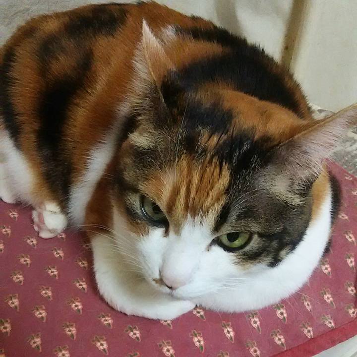 2257ff2d 300e 4e54 89d9 b91f0d631dae