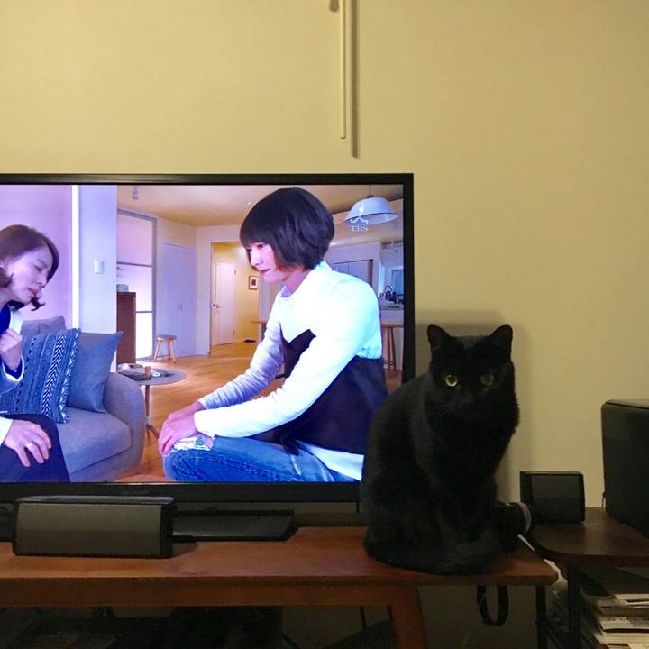 2258cb81 c35b 4ae8 b2d4 b8704d258bfa