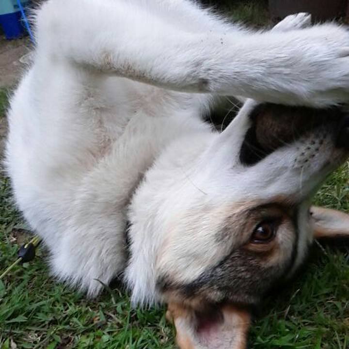 22594666 ea6d 4a2b 8f92 6e748e7d61b8