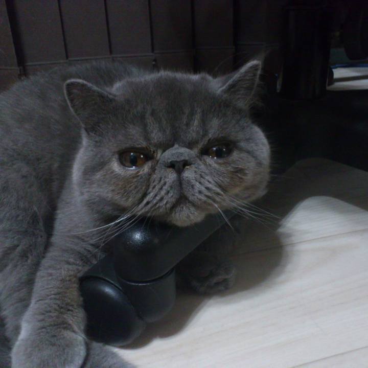 225a0945 2c94 4c3a b5d3 4c41016041fa