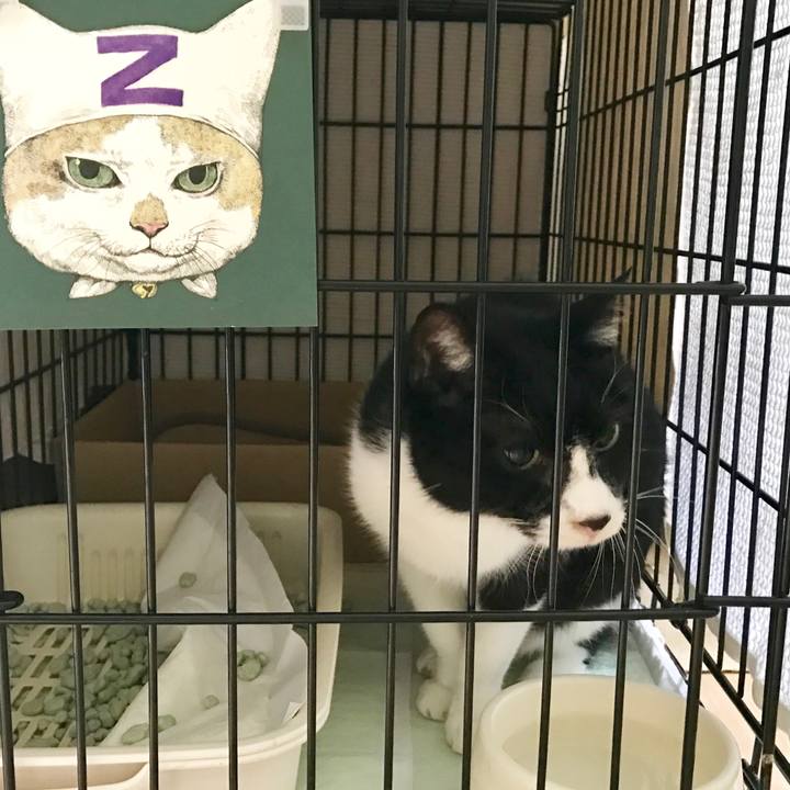 225a2fdd 34f8 4fa3 afc4 554c9d661e6f